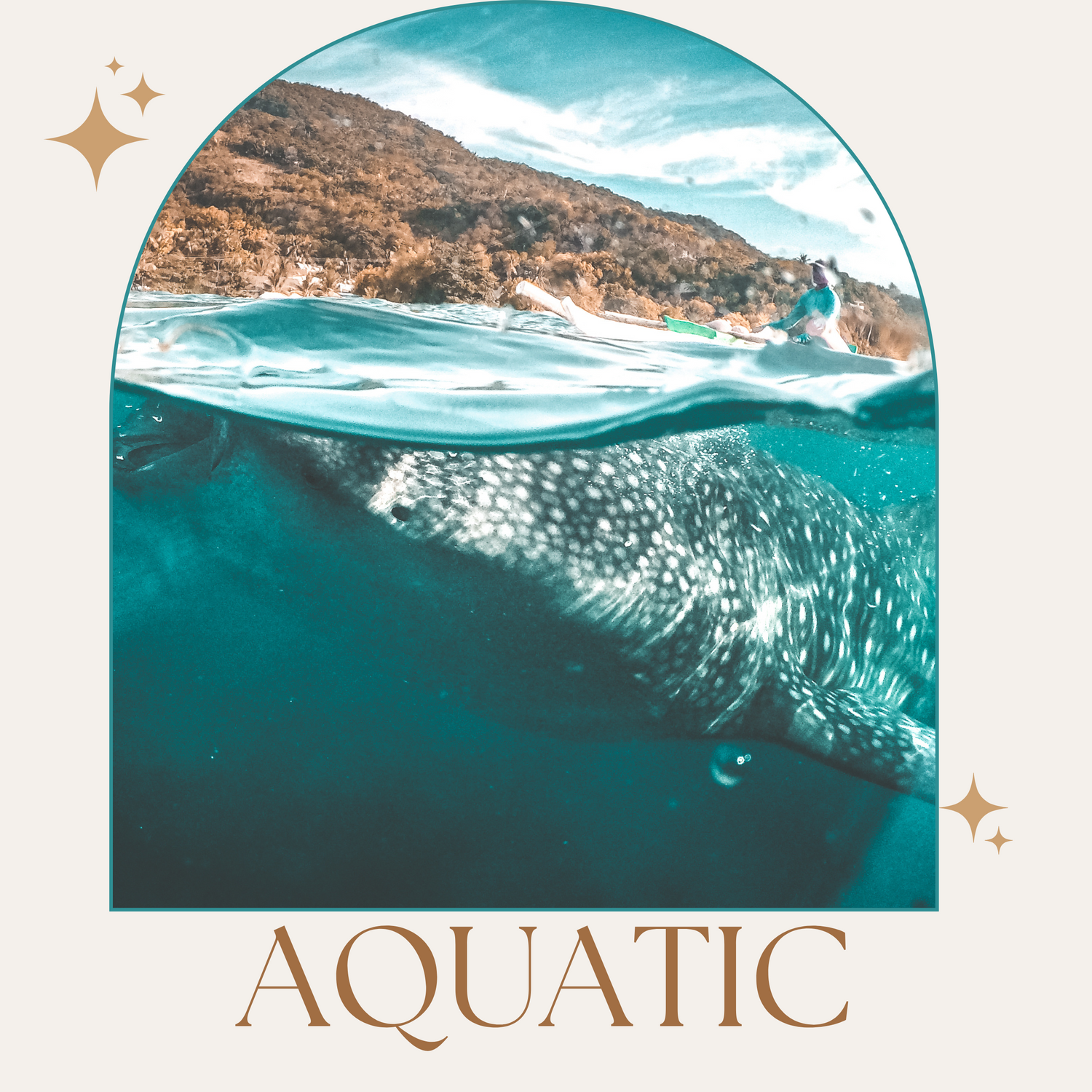 Aquatic Favorites