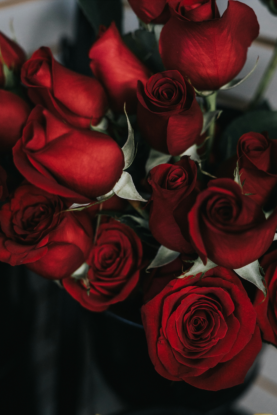 A Rose For The Lady