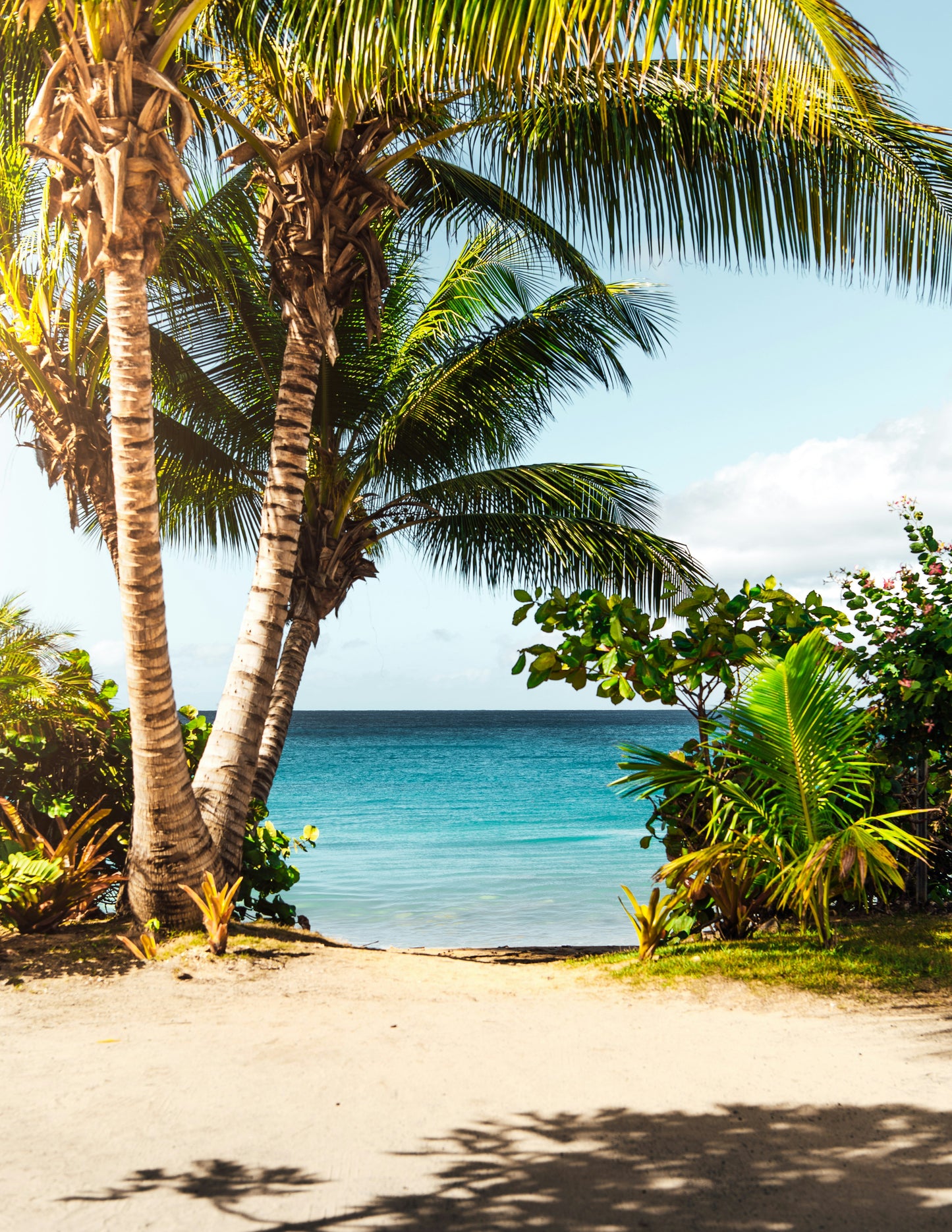 Kona Breeze™
