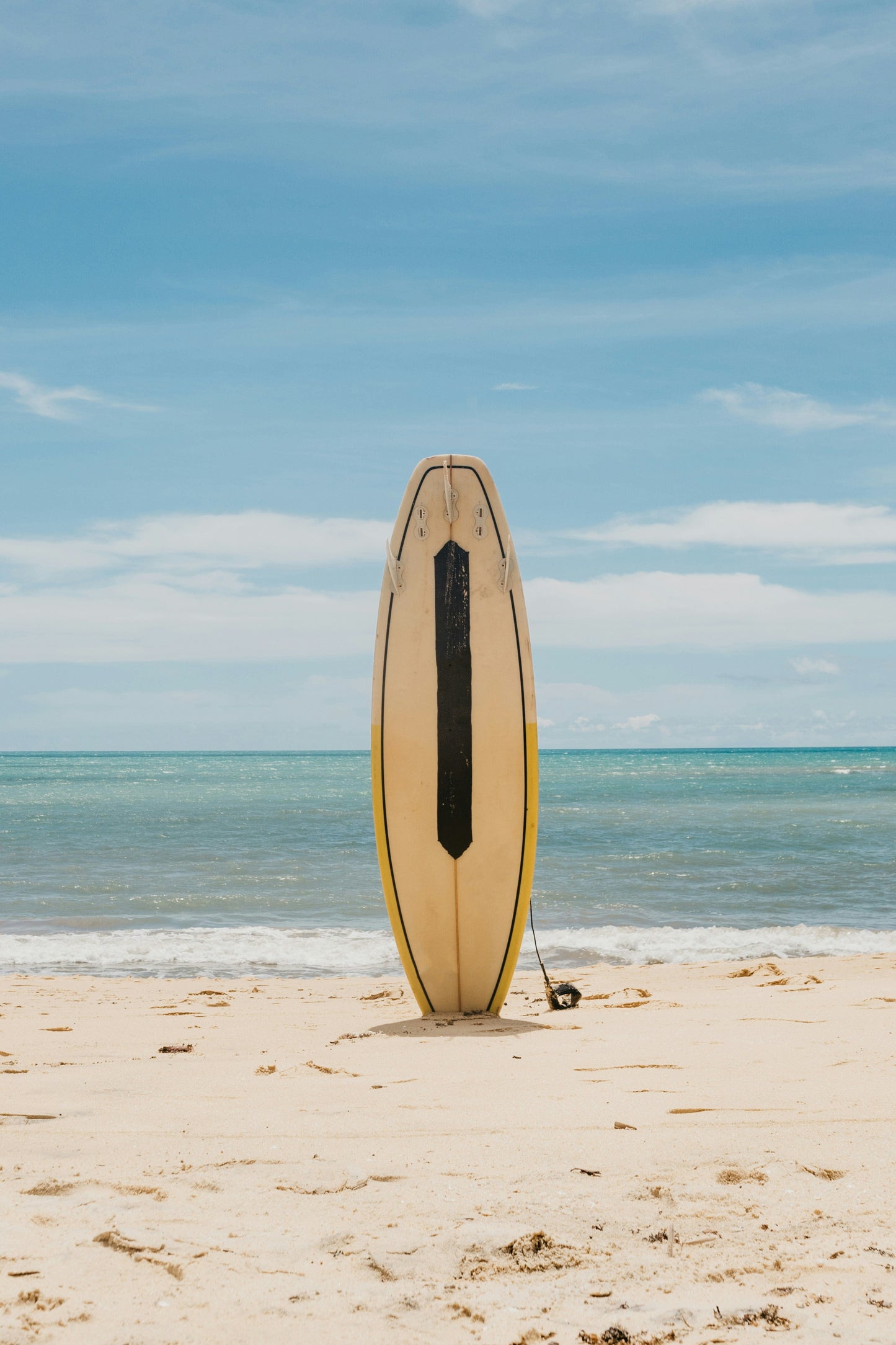 Surf Camp™