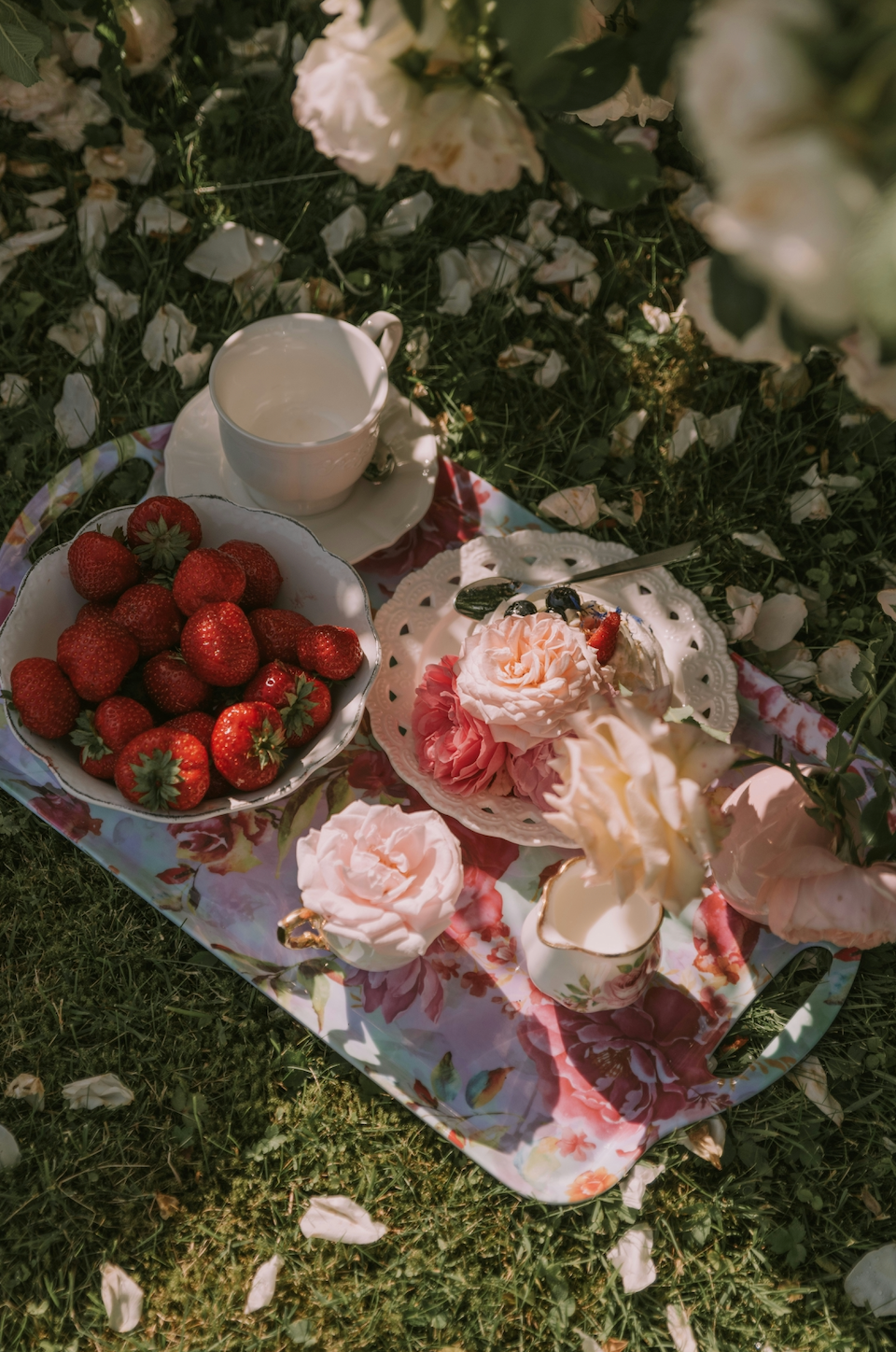 Picnic in the Park™