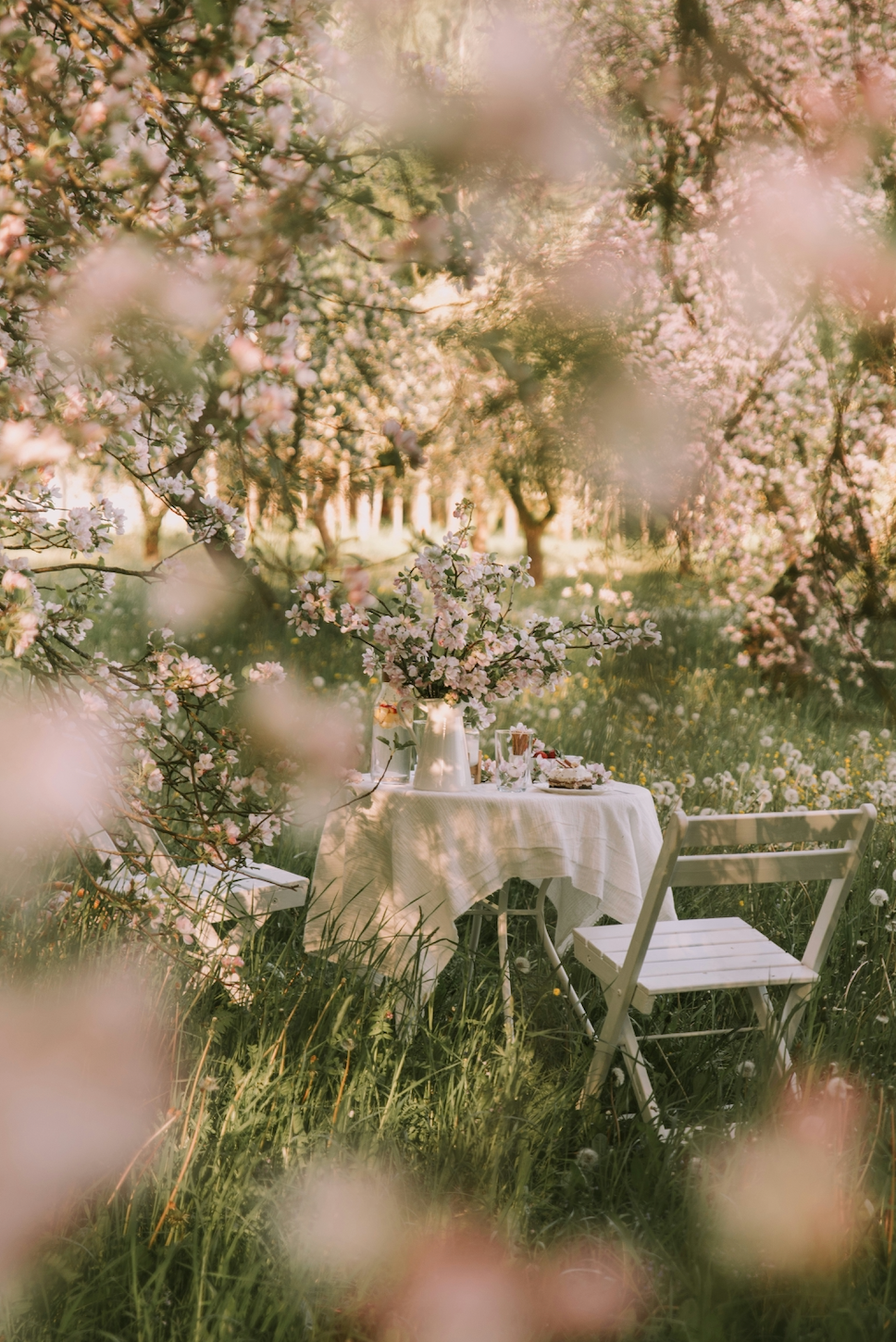 Picnic in the Park™