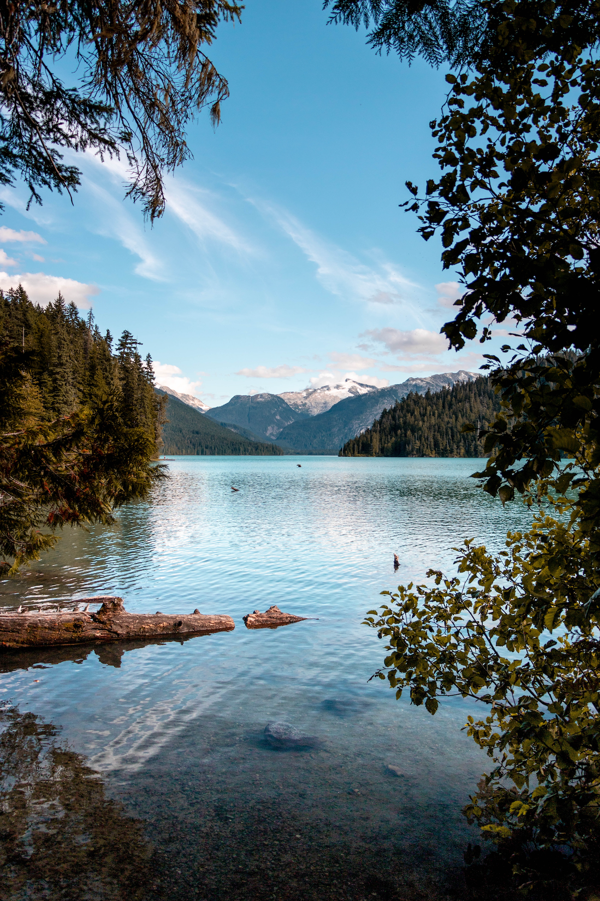 Whistler Woods
