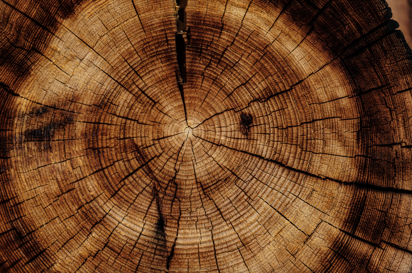 Exotic Woods™