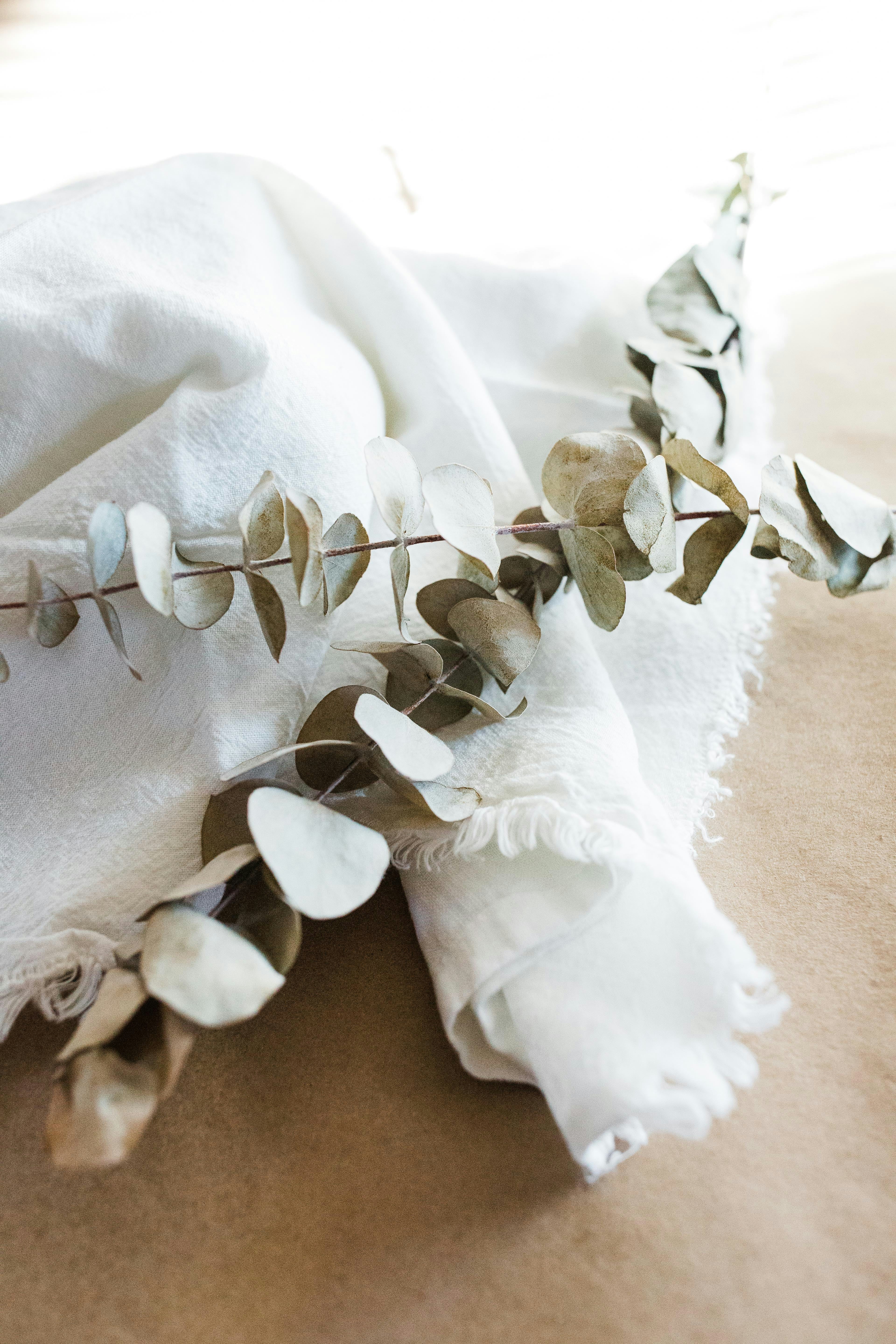 Eucalyptus Mint