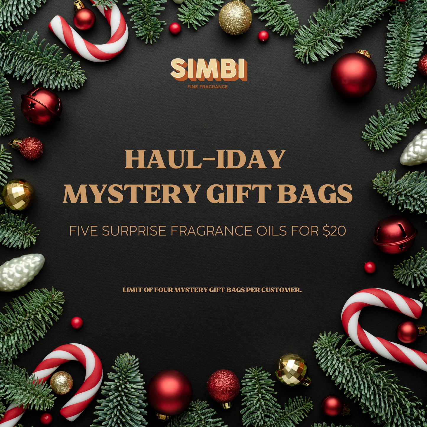 HAUL-IDAY Mystery Gift Bags