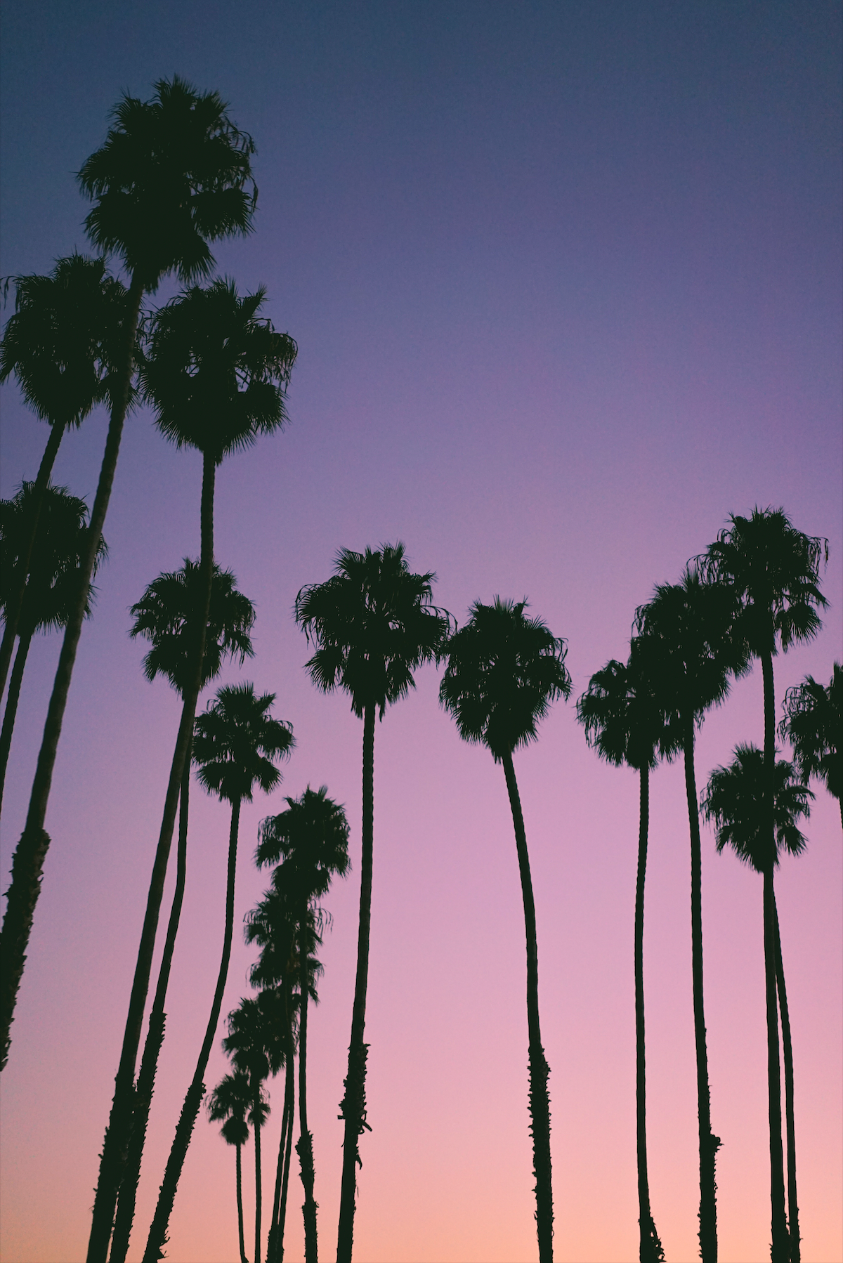California Sunset™