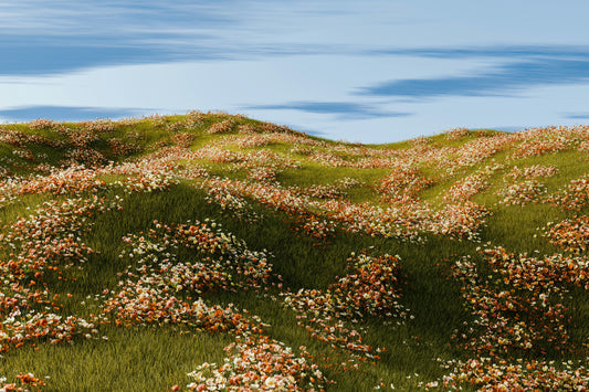 Nordic Meadows