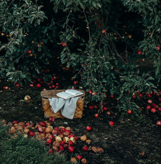 Apple & Ancient Oak™