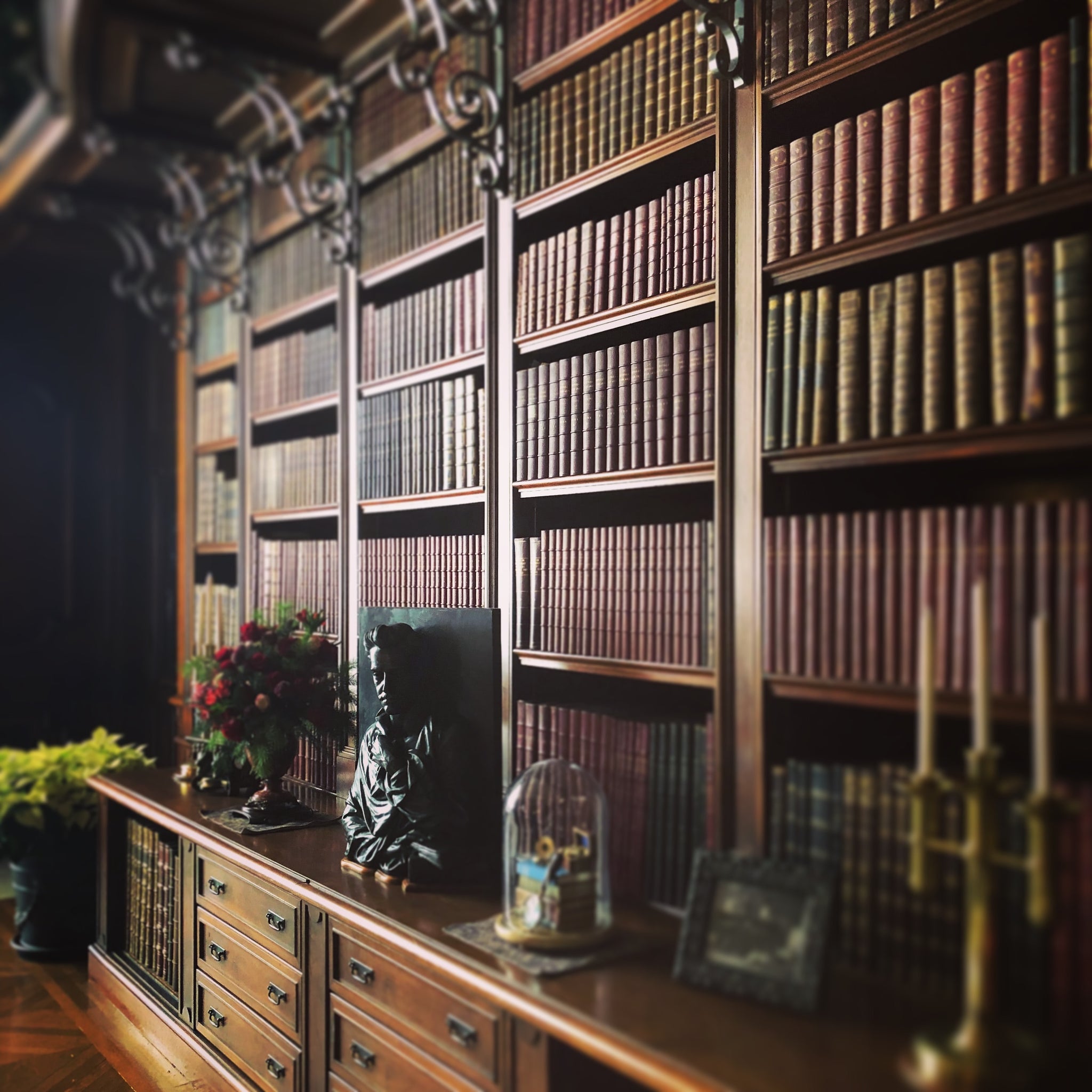Haunted Library - Enchantingly Accurate Fragrance Oils – SimbiFragrance