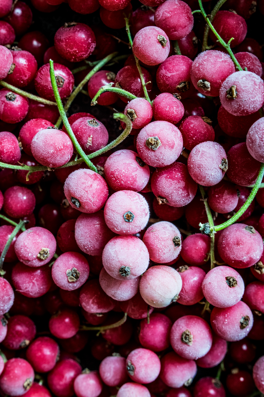 Winter Berry
