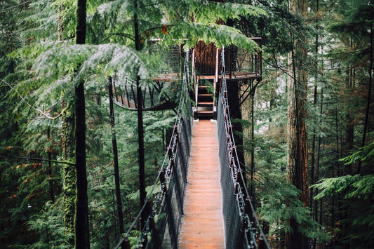 Tree House