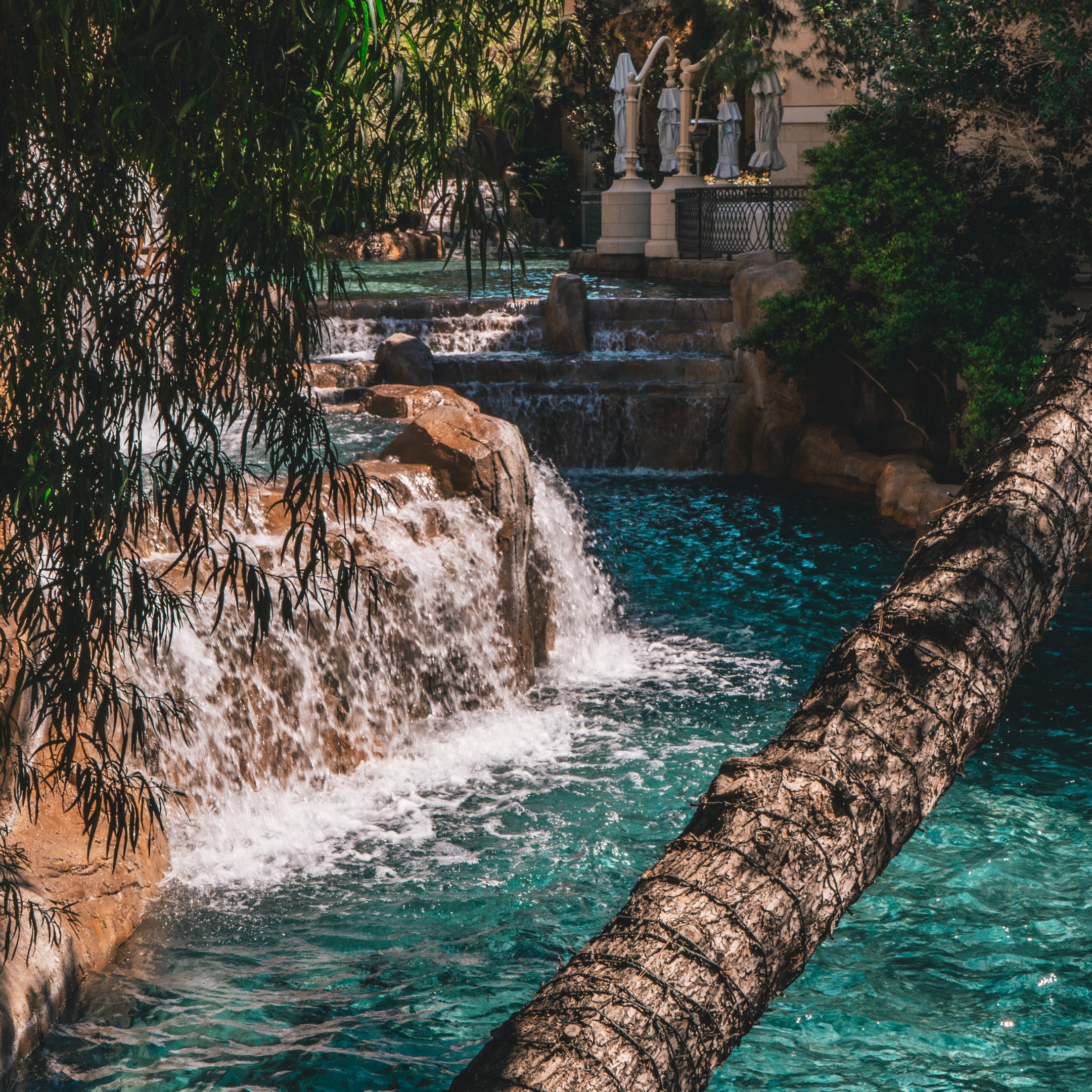 Tropical Swim