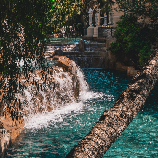 Tropical Swim