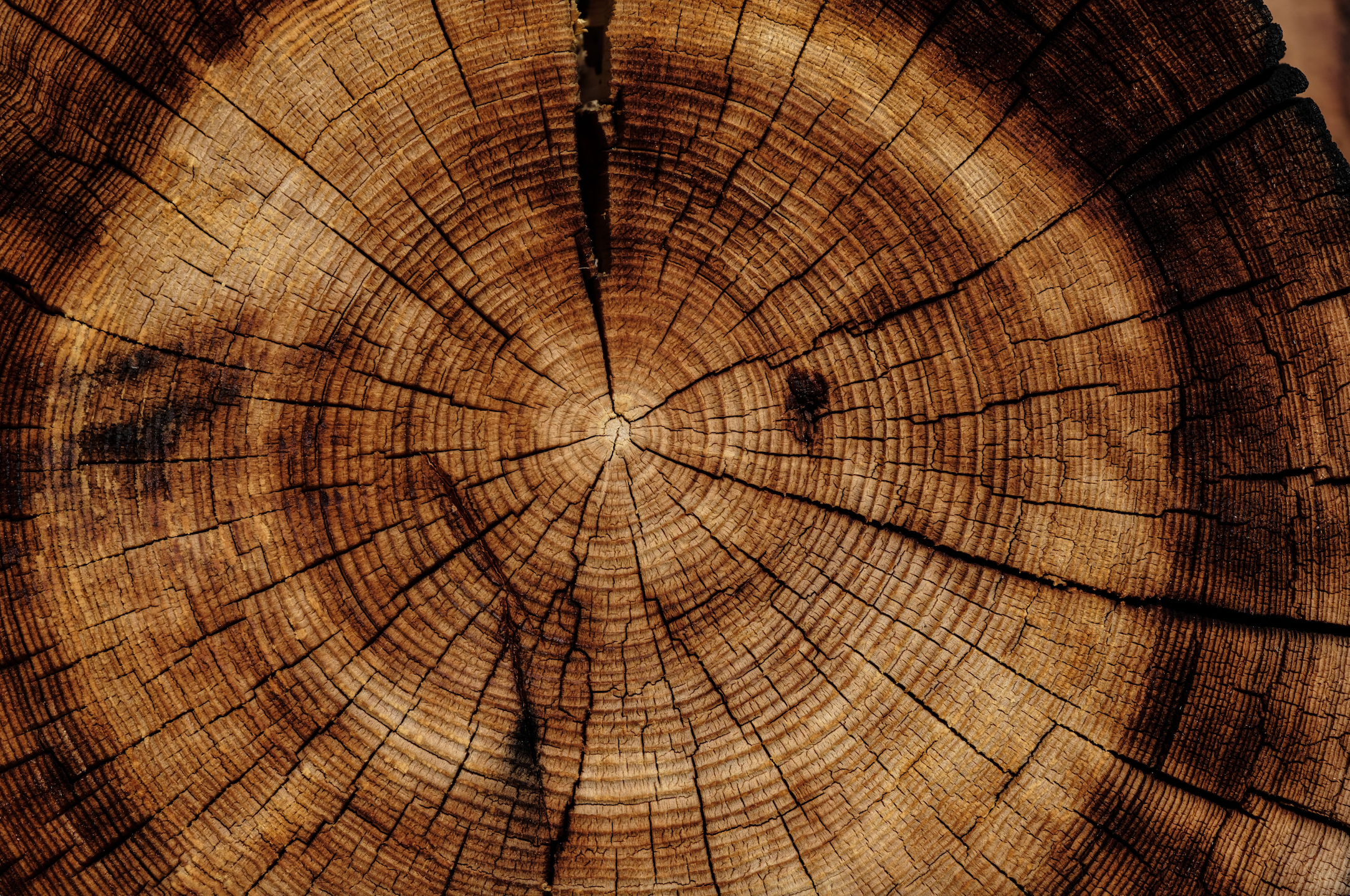 Exotic Woods™
