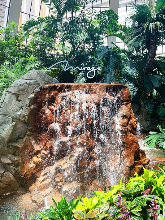 Toasted Coconut & Stone Fruit