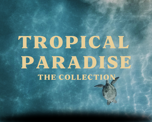 Tropical Paradise Discovery Set